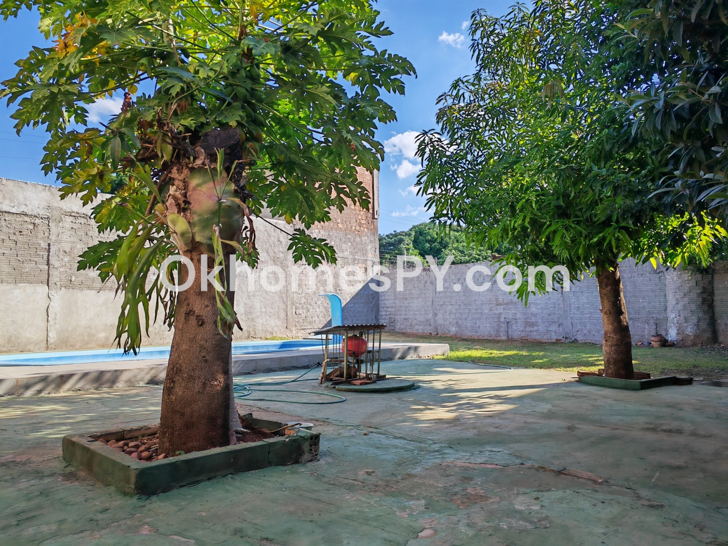 AREA 5 - CASA VENTA - REF: A5/P099/CDE EDG