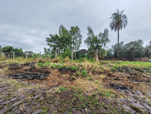 PRESIDENTE FRANCO - TERRENO VENTA - REF: PF/744/CDE AA