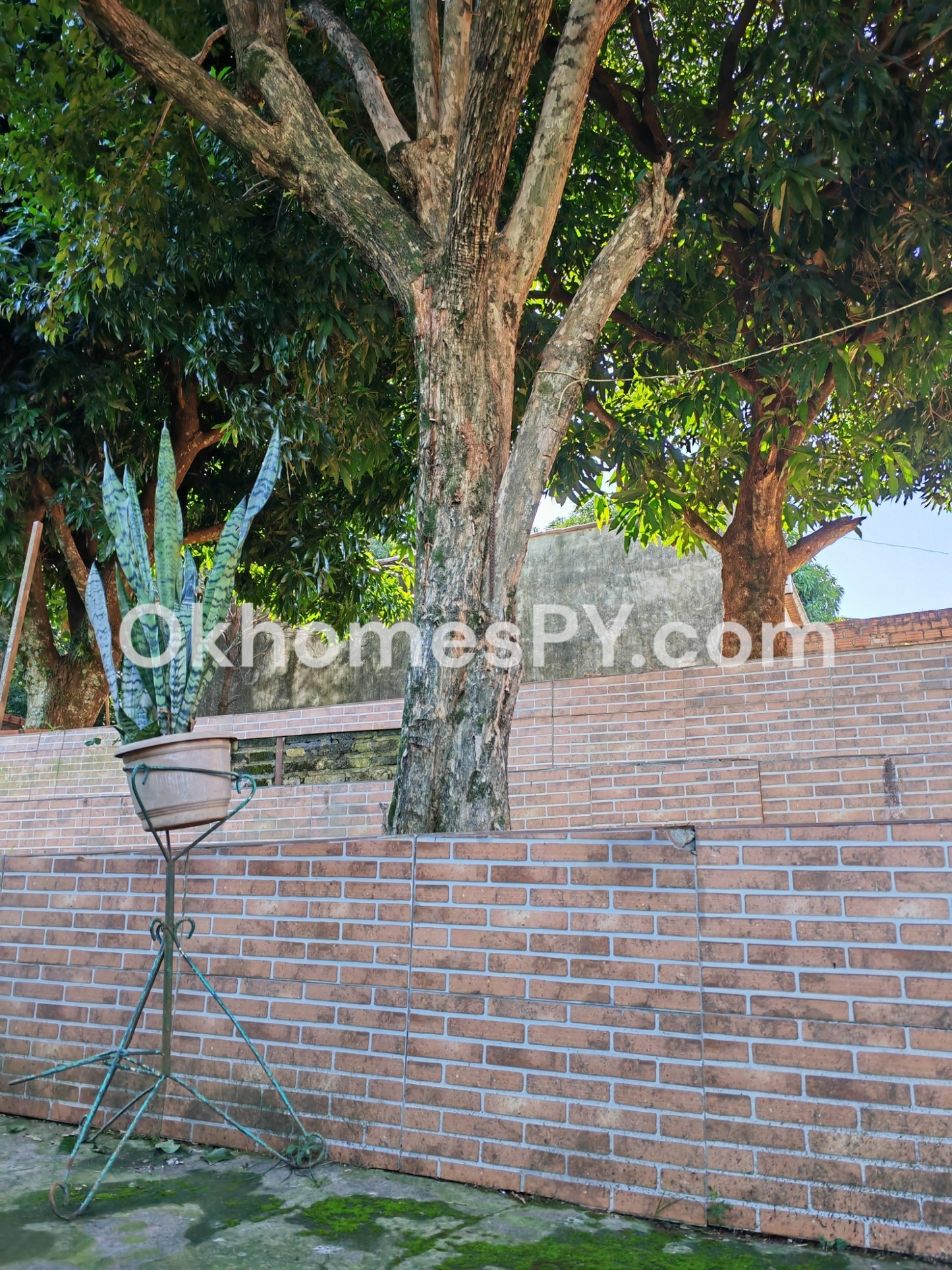 AREA 4 - CASA VENTA - REF: A4/P247/CDE DEG